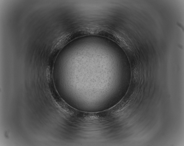 X0000097870594200803281203