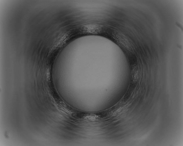 X0000097870595200803281203