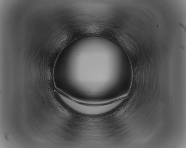 X0000097870597200803281203