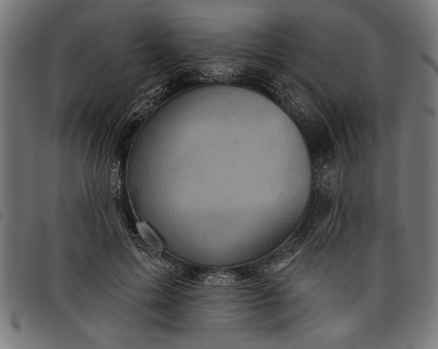 X0000097870599200803281203
