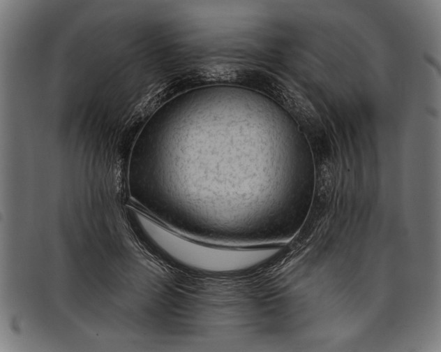 X0000097870600200803281203