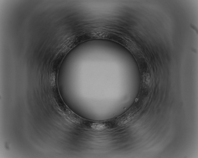 X0000097870602200803281203