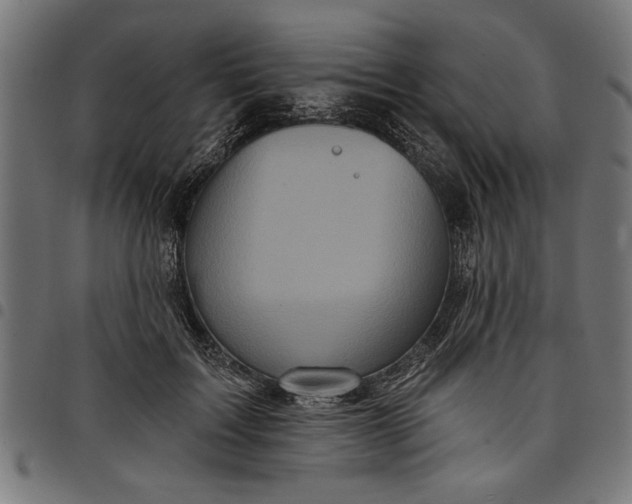 X0000097870603200803281203