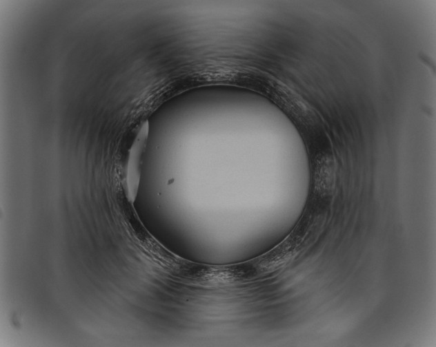 X0000097870604200803281203