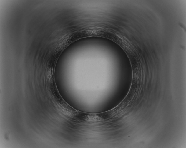 X0000097870605200803281203