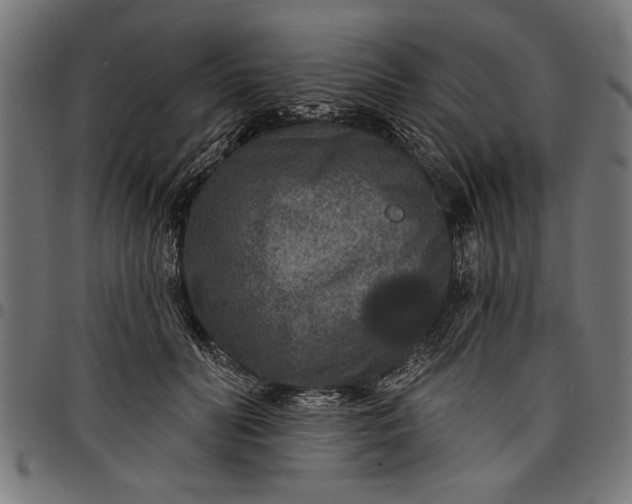 X0000097870606200803281203