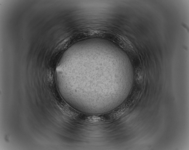 X0000097870607200803281203