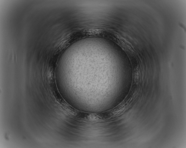 X0000097870608200803281203