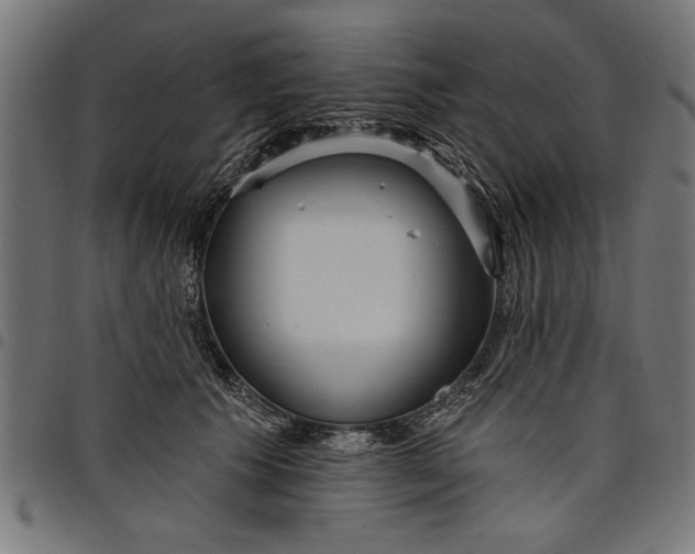 X0000097870609200803281203