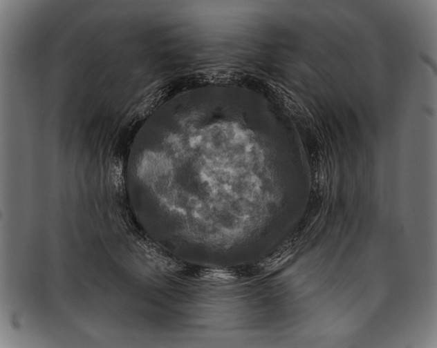 X0000097870610200803281203