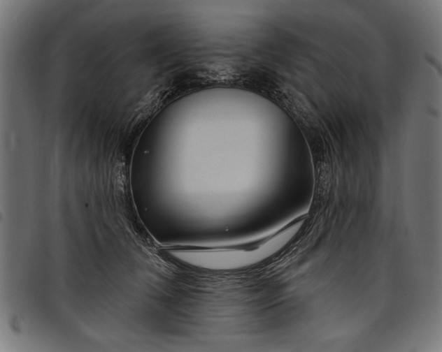 X0000097870612200803281203