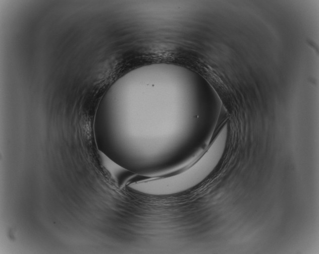 X0000097870613200803281203