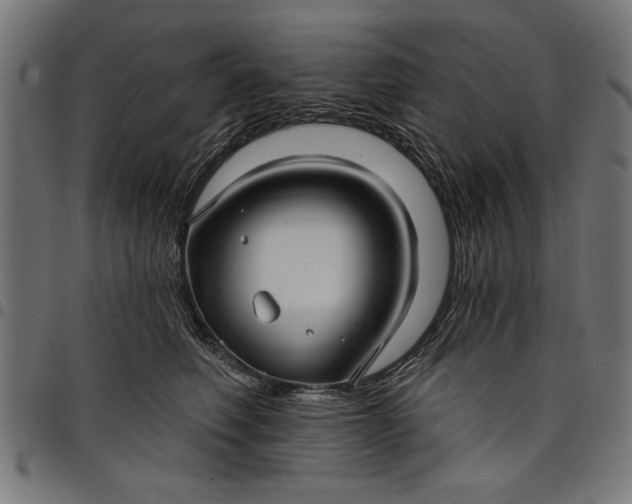 X0000097870614200803281203