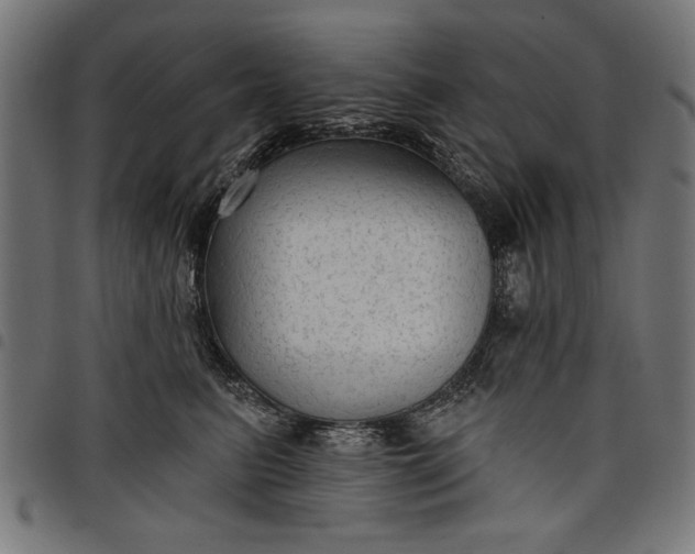 X0000097870615200803281203