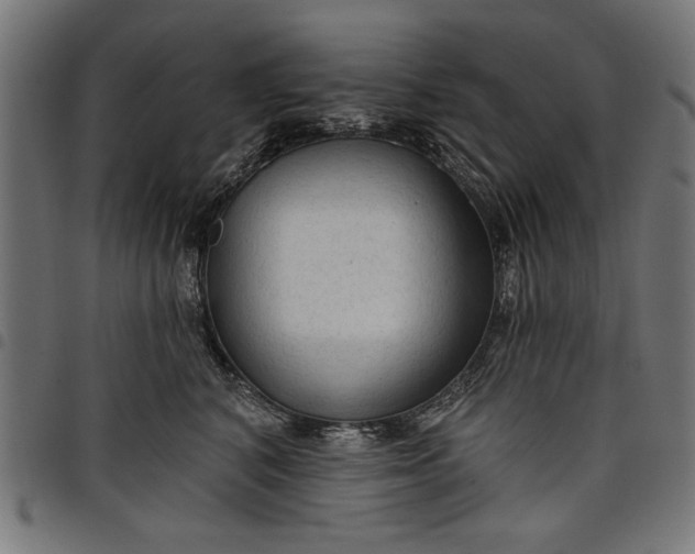 X0000097870616200803281203