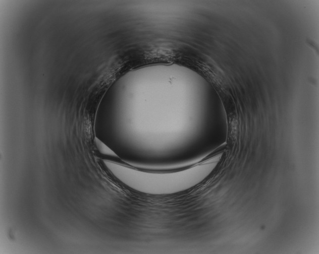 X0000097870617200803281203