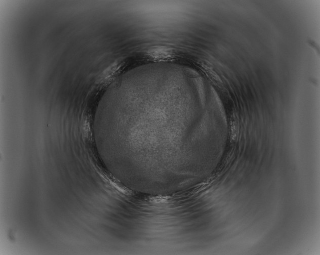 X0000097870618200803281203