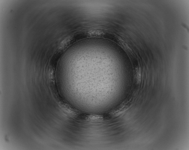 X0000097870619200803281203