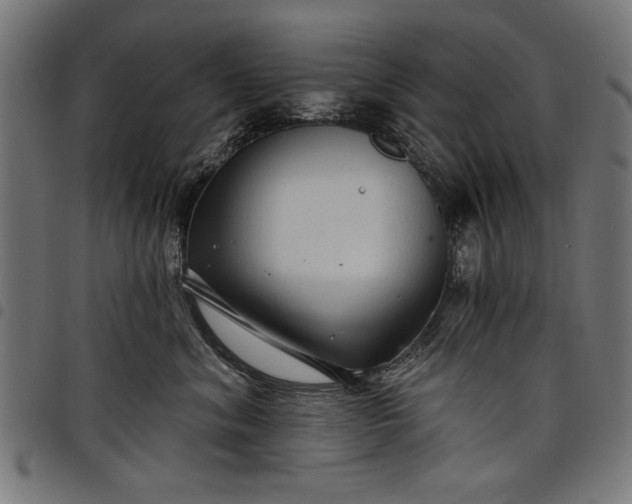 X0000097870620200803281203