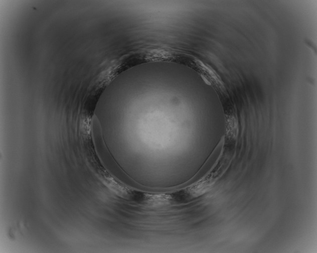 X0000097870621200803281203