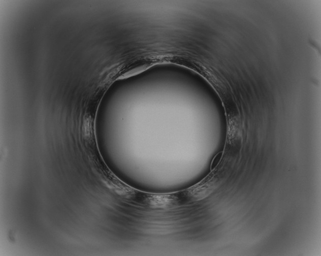 X0000097870623200803281203