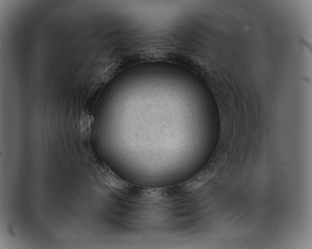X0000097870624200803281203