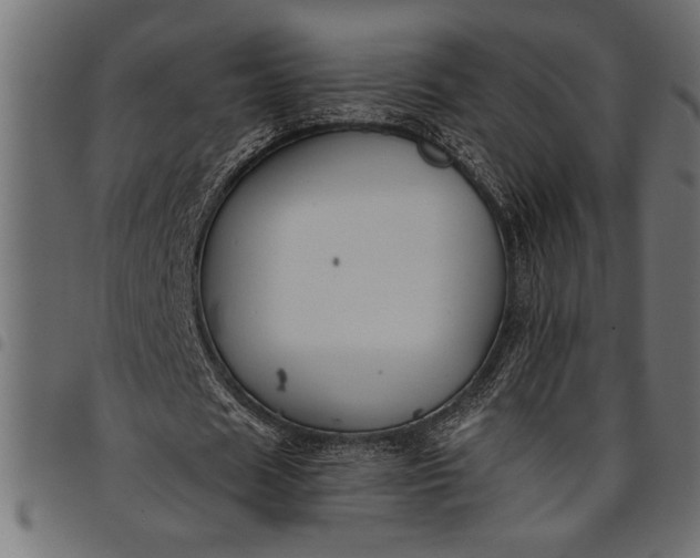 X0000097870625200803281202
