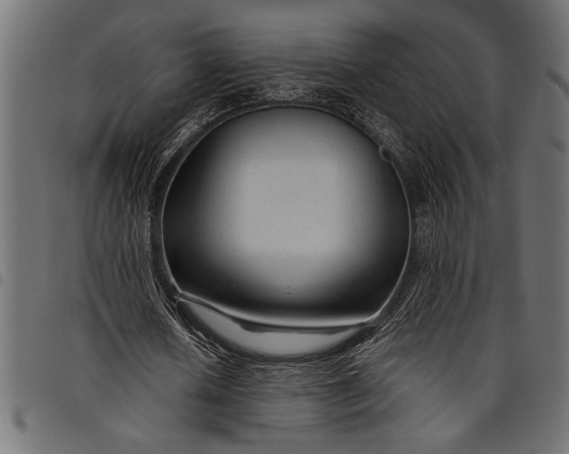 X0000097870626200803281202