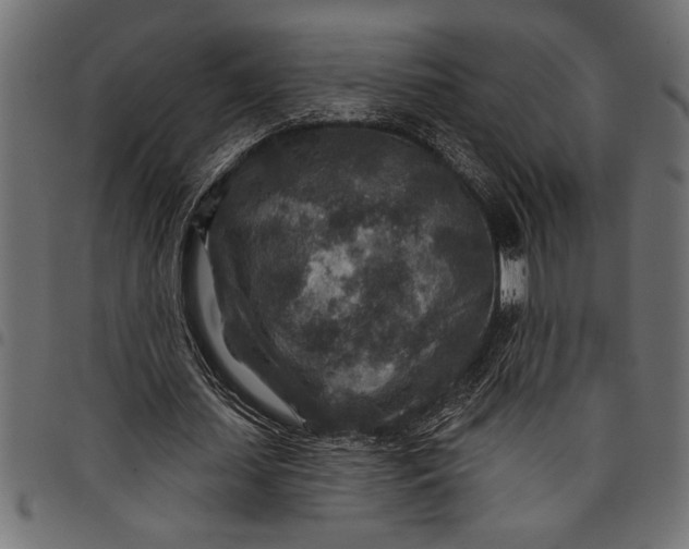 X0000097870627200803281202