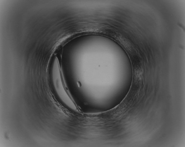 X0000097870628200803281202