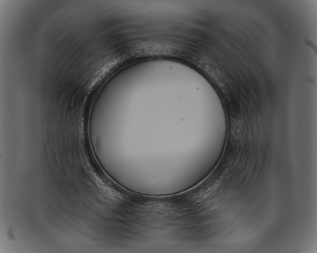 X0000097870629200803281202