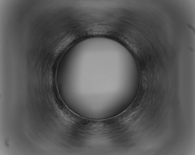 X0000097870631200803281202
