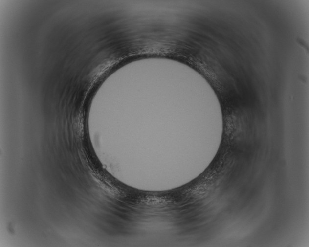 X0000097870632200803281202