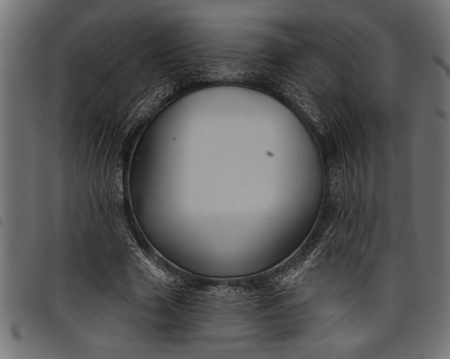 X0000097870633200803281202