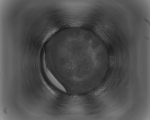 X0000097870634200803281202