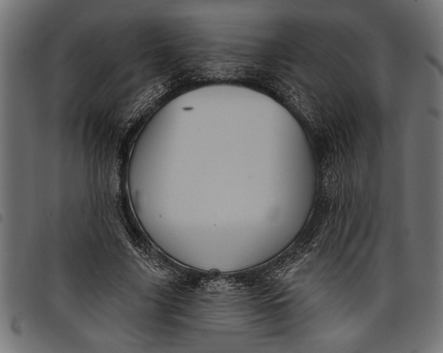 X0000097870635200803281202