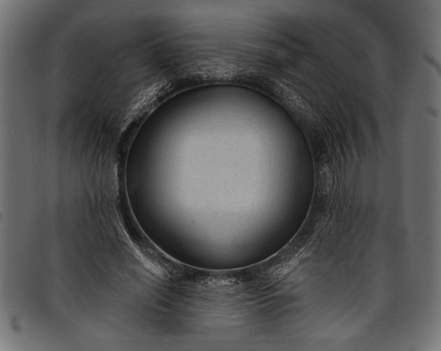 X0000097870638200803281202