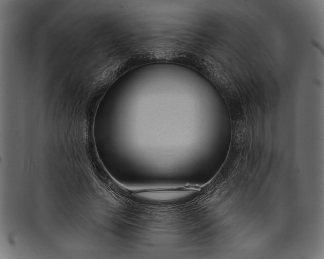 X0000097870639200803281202