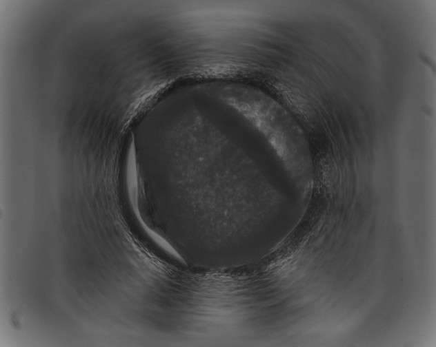 X0000097870640200803281202