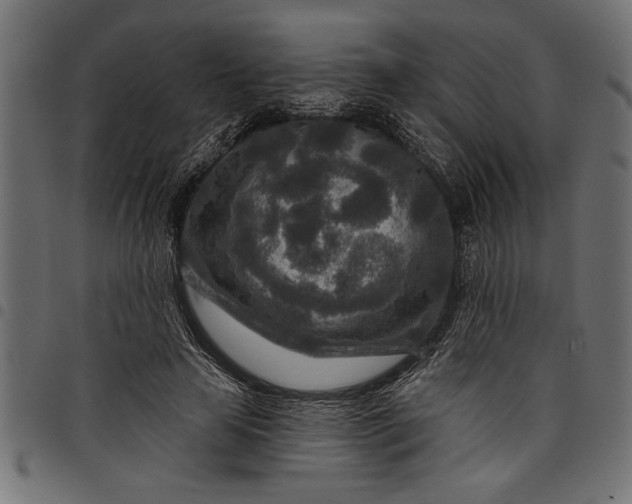 X0000097870641200803281202