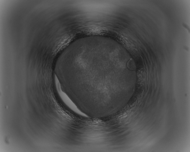X0000097870642200803281202