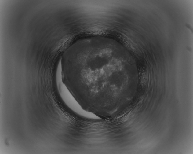 X0000097870643200803281202