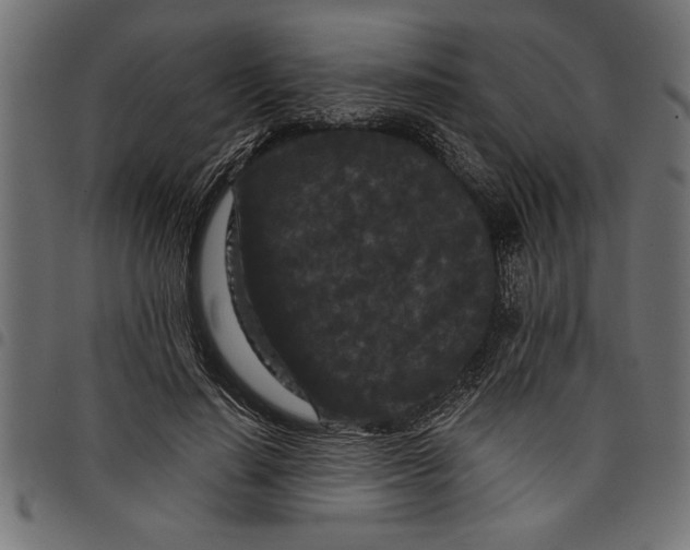 X0000097870644200803281202
