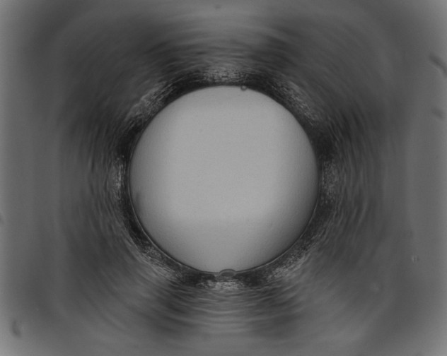 X0000097870645200803281202