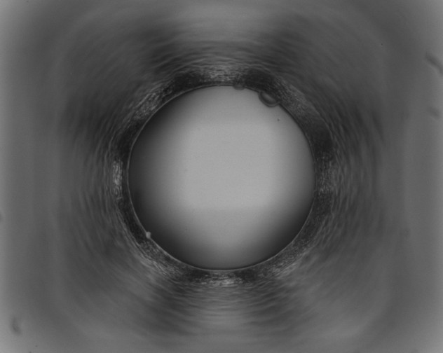 X0000097870646200803281202