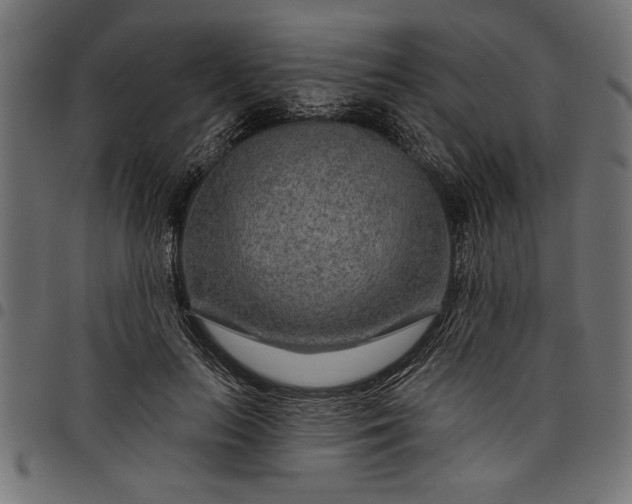 X0000097870647200803281202