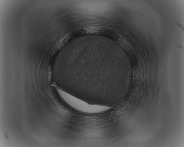 X0000097870648200803281202