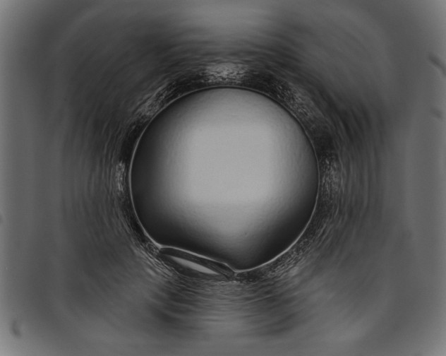 X0000097870649200803281202
