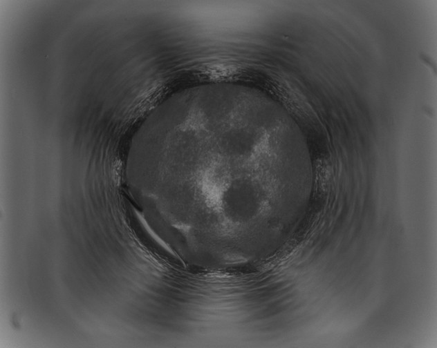 X0000097870650200803281202