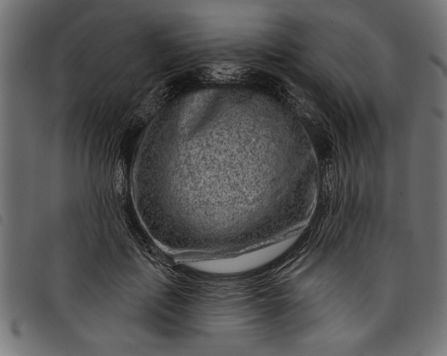 X0000097870651200803281202